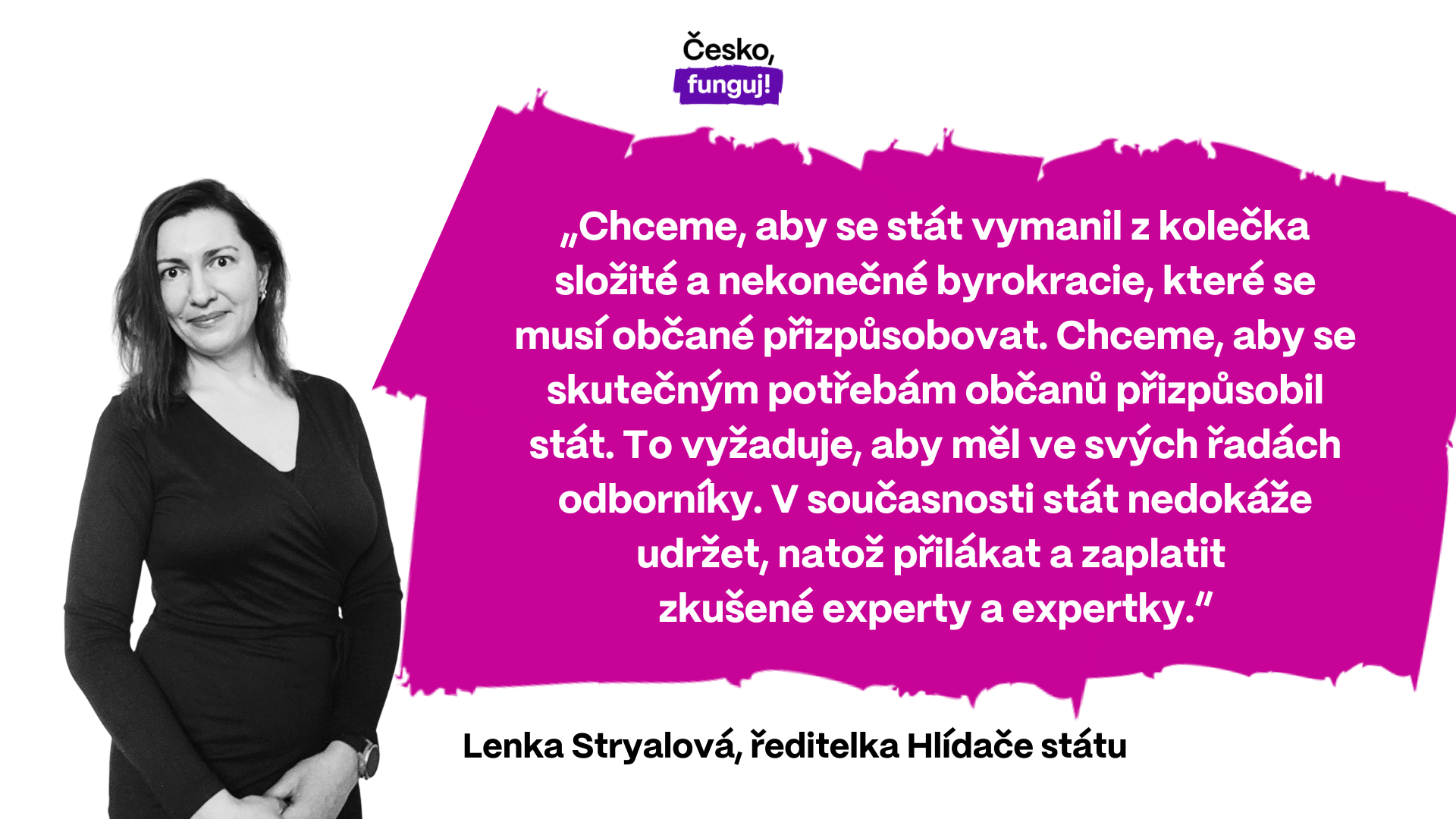 „Chceme, aby se stát vymanil z kolečka složité a nekonečné byrokracie, které se musí občané přizpůsobovat. Chceme, aby se skutečným potřebám občanů přizpůsobil stát. To vyžaduje, aby měl ve svých řadách odborníky. V současnosti stát nedokáže udržet, natož přilákat a zaplatit zkušené experty a expertky,” uvádí Lenka Stryalová, ředitelka Hlídače státu.